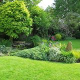 Englischer Garten selbstgemacht mit Rasen und mehr
