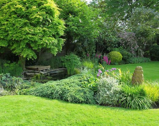 Englischer Garten selbstgemacht mit Rasen und mehr