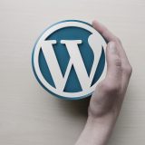 Wordpress - Die eigene Homepage erstellen können